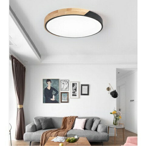 Modern living room with a ceiling light fixture, gray sofa, and decorative elements.