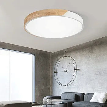 Modern living room with a ceiling light fixture, gray sofa, and decorative elements.