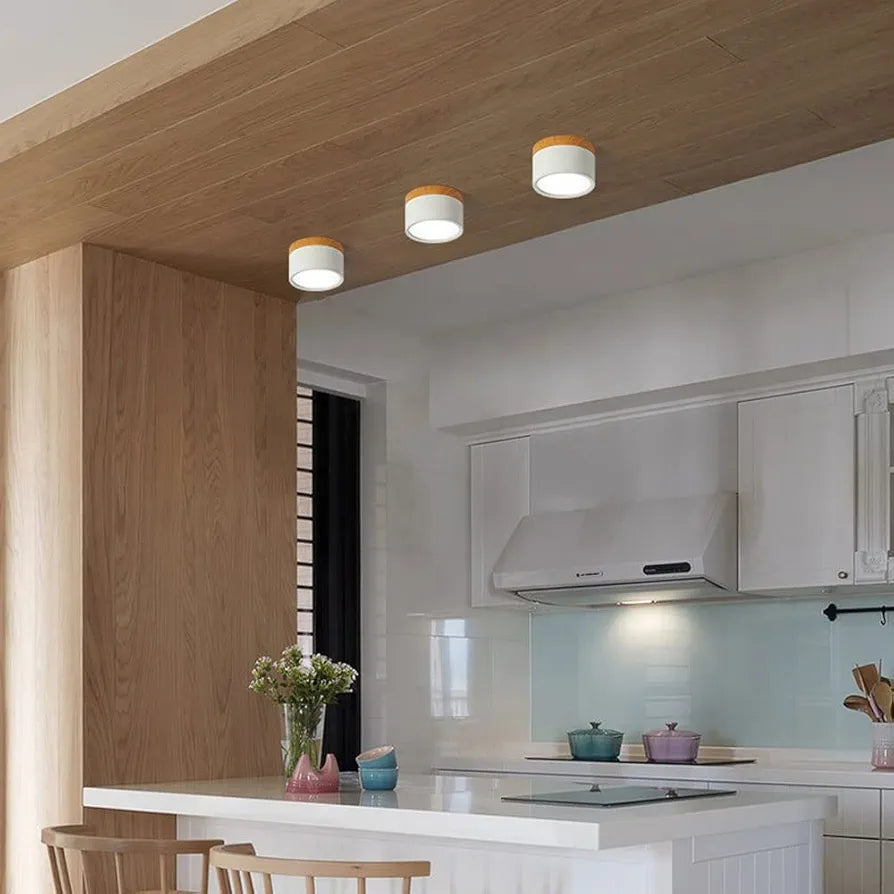 Modern LED Surface Mounted Downlight - Dimmable Cylindrical Ceiling Spotlight